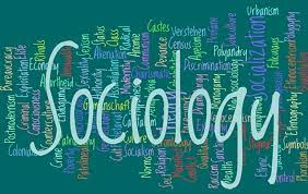 HS307 - Sociology